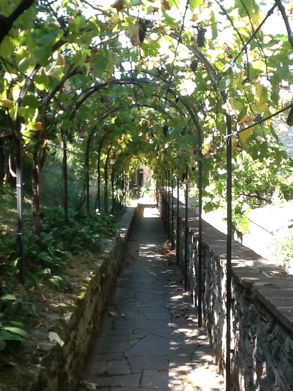 Garden Apartment Greve in Chianti Exterior photo