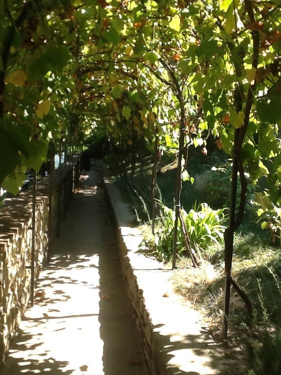 Garden Apartment Greve in Chianti Exterior photo